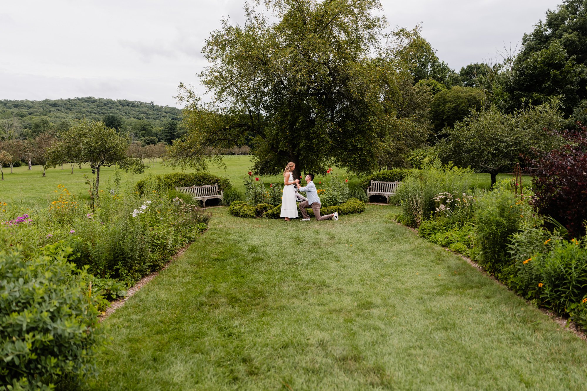 NJ Botanical Gardens Surprise Proposal.jpg