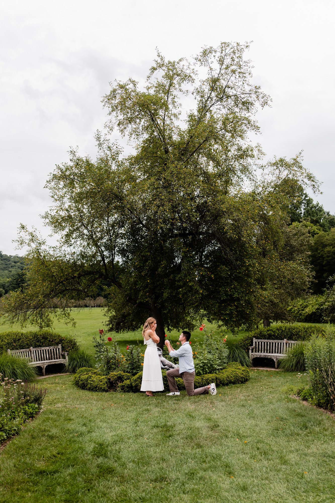 NJ Botanical Gardens Surprise Proposal-3.jpg