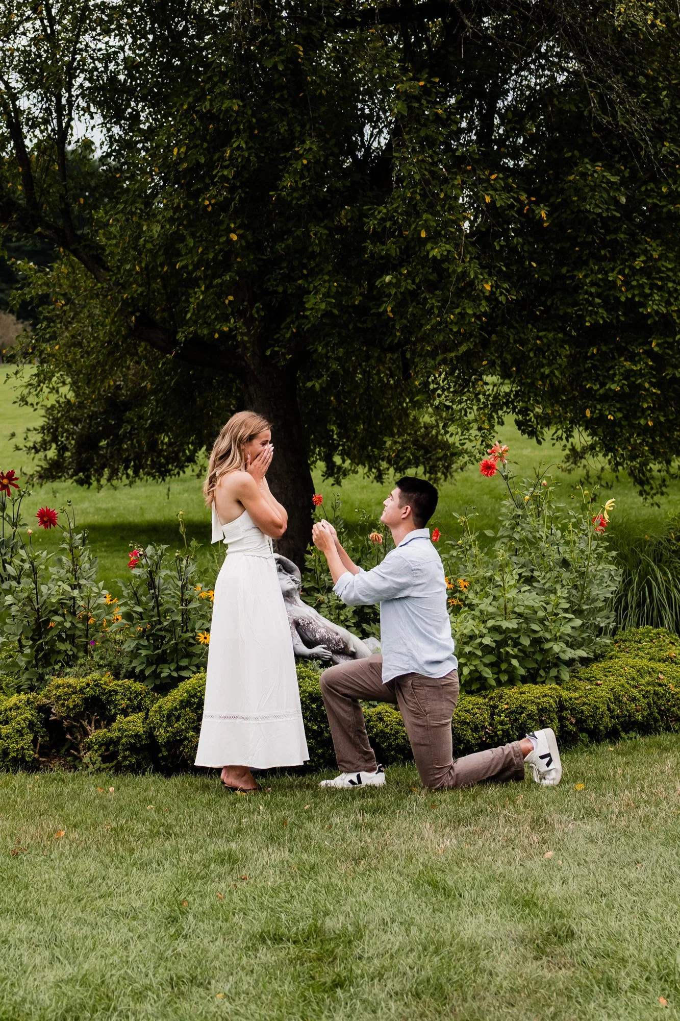 NJ Botanical Gardens Surprise Proposal-4.jpg