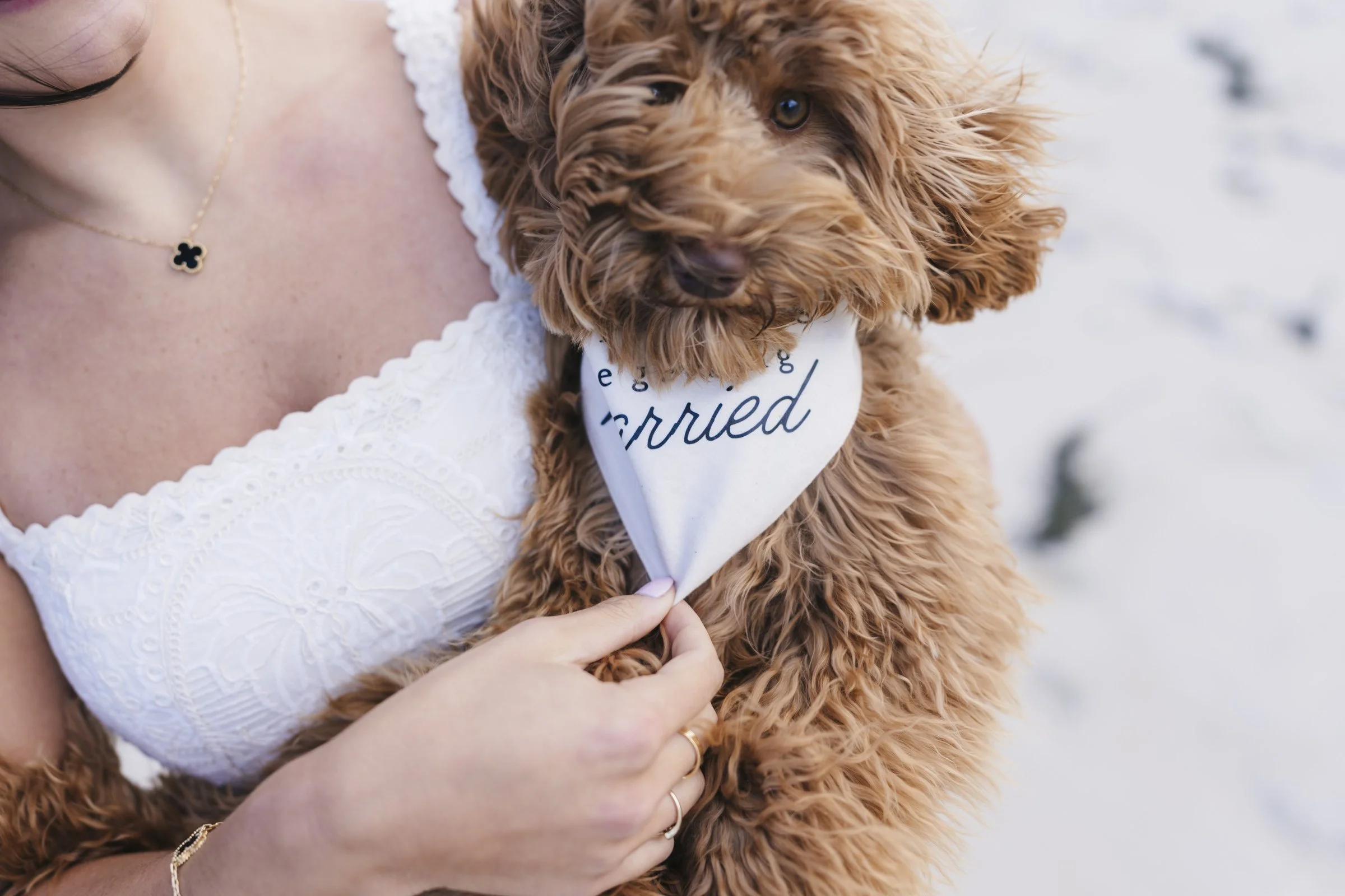 Beach Proposal Ideas-22.jpg
