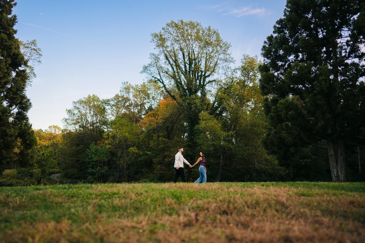 A couple holding hands in an open field beside trees with green and golden leaves.