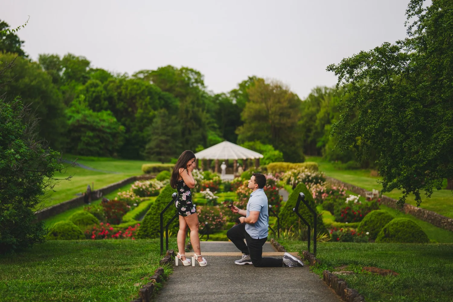Surprise proposal in a flower garden