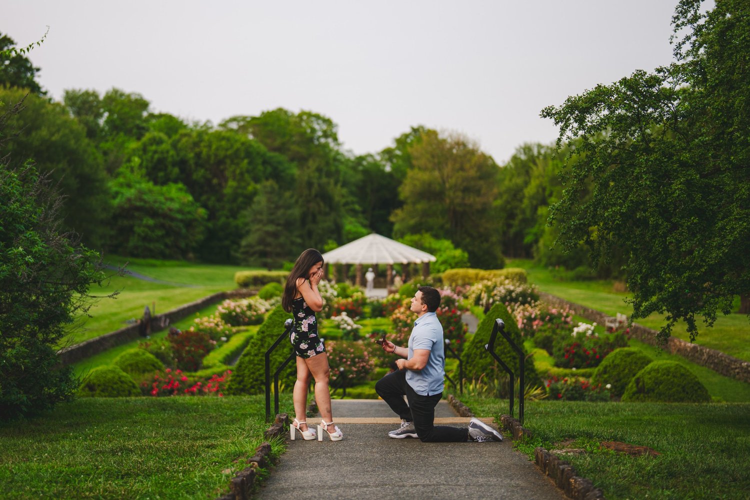 A surprise proposal on a garden path, framed by flowers and greenery.