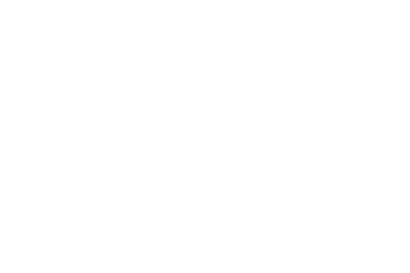 Center City Veterinary Hospital