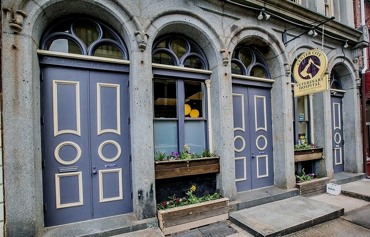 center veterinary hospital