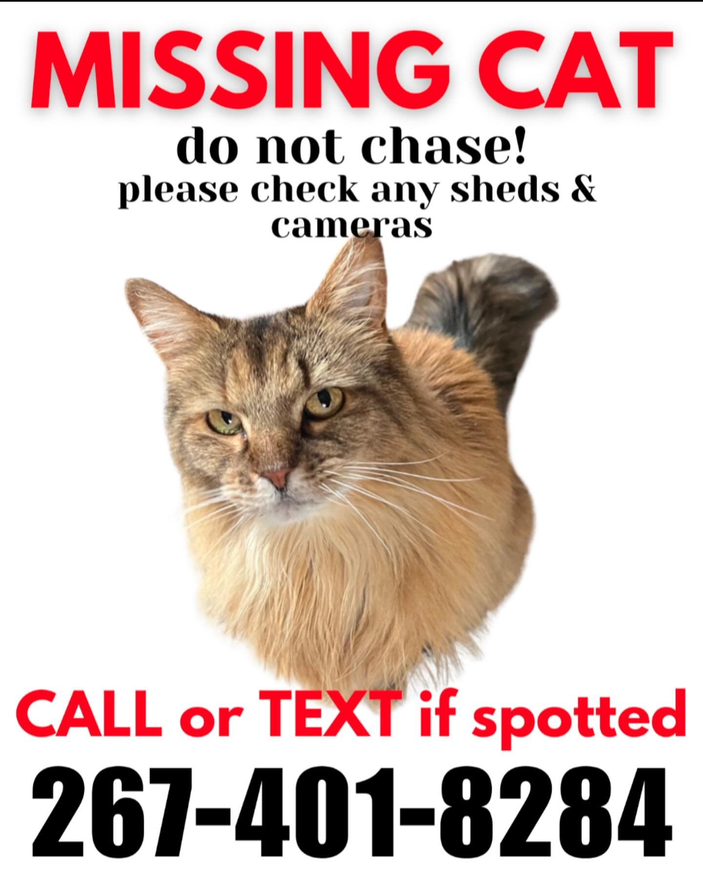 Missing friend alert 🚨‼️