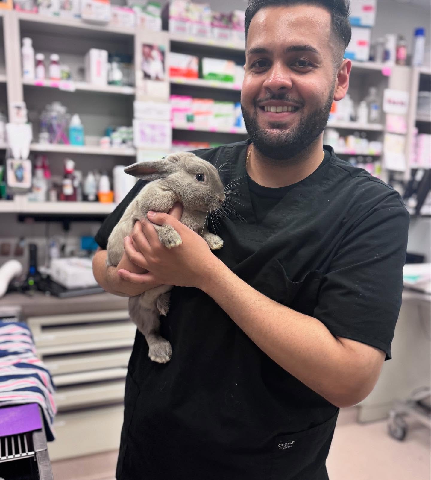 From scales to feathers to fur - Dr. Meister&rsquo;s got them covered! 🦜🐇🐢 Contact us to book your exotics appointment today! 🩺 2