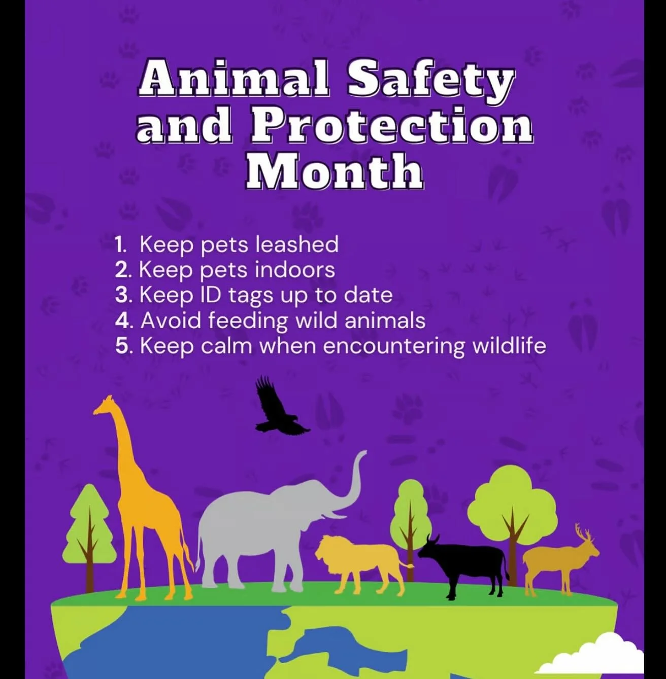 Happy animal safety and protection month!