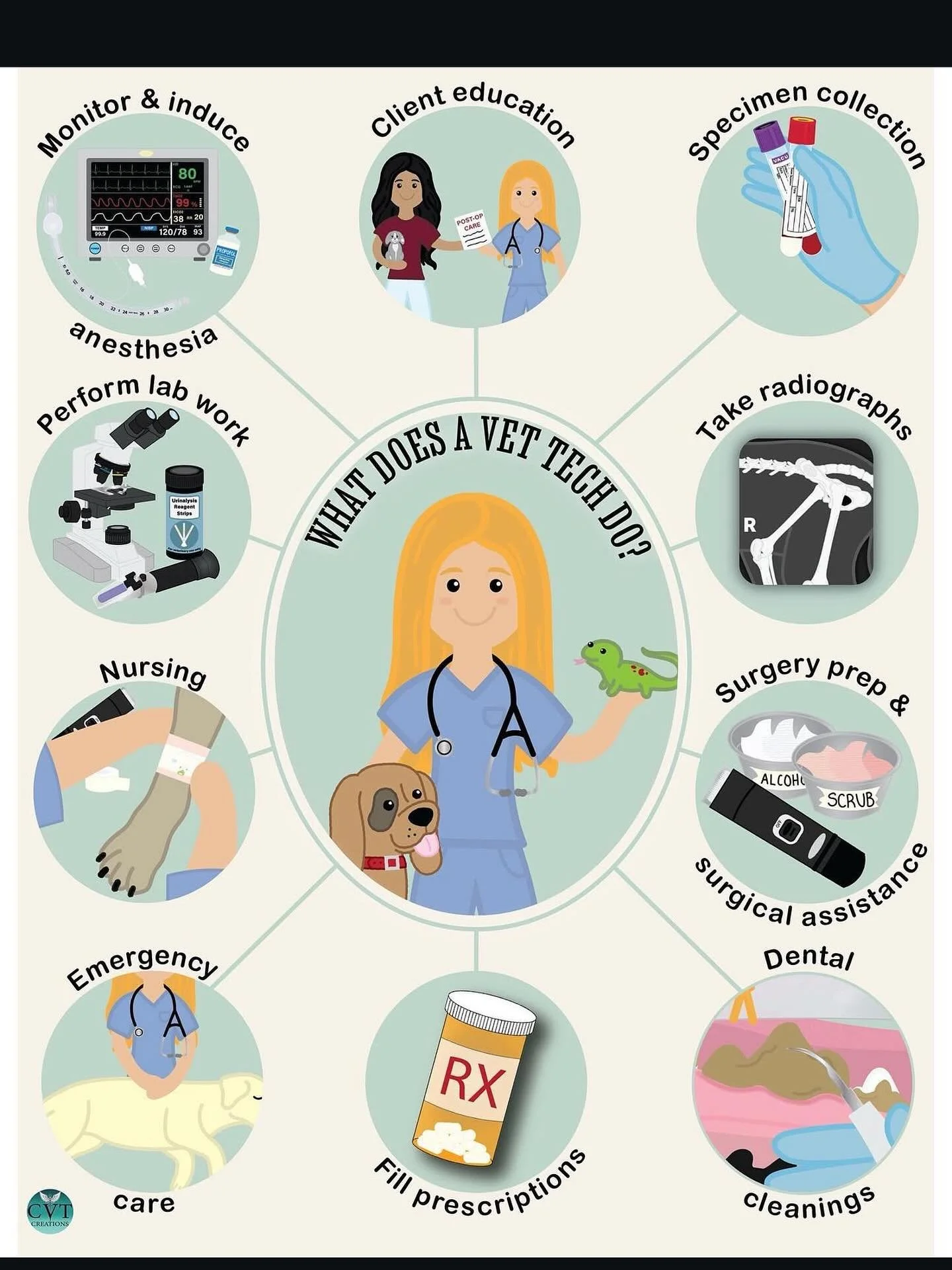 Do you know how many tasks a vet tech does during the day?