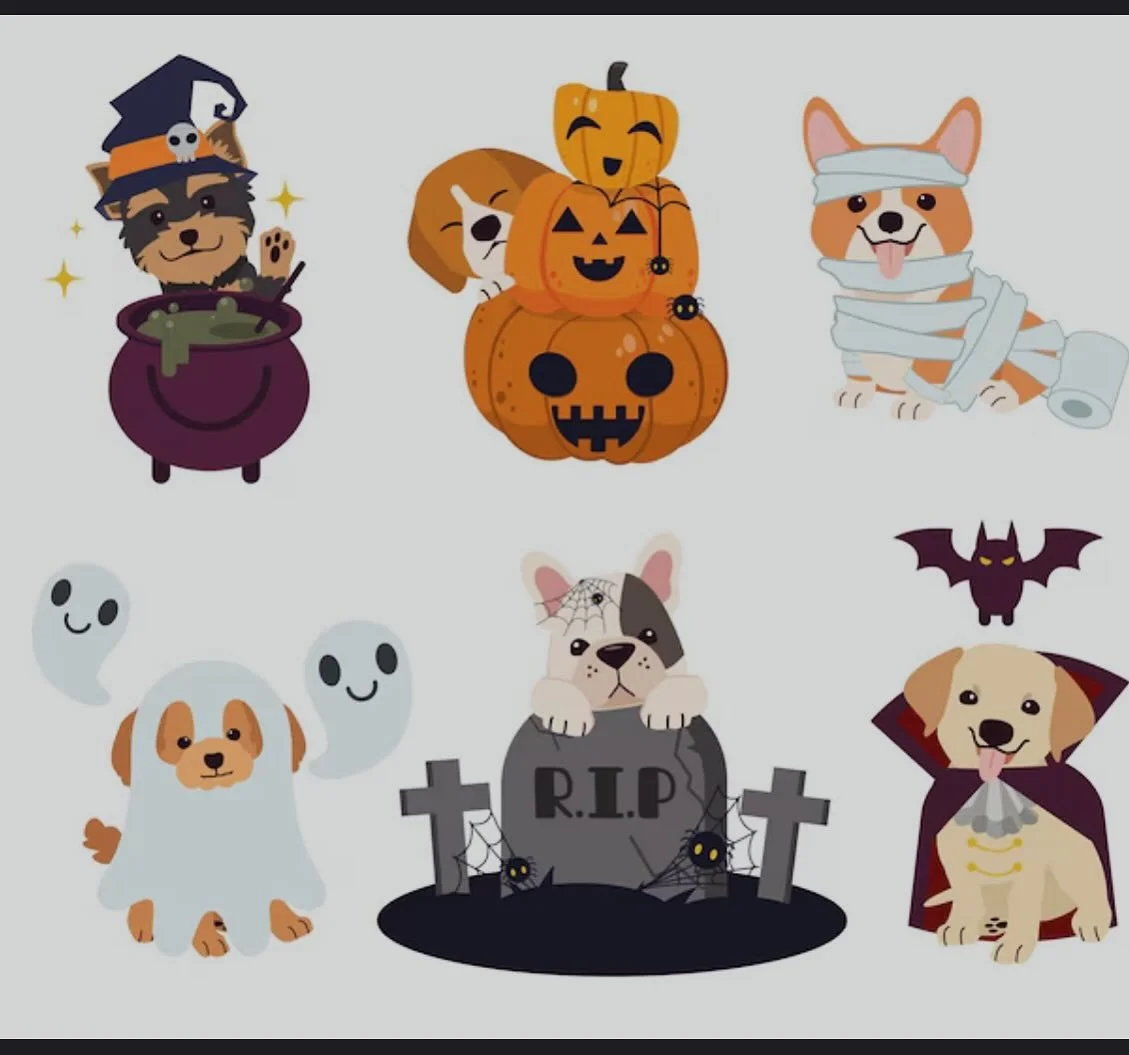 Send us pictures of your animals in their best Halloween gear so we can post them on Friday!