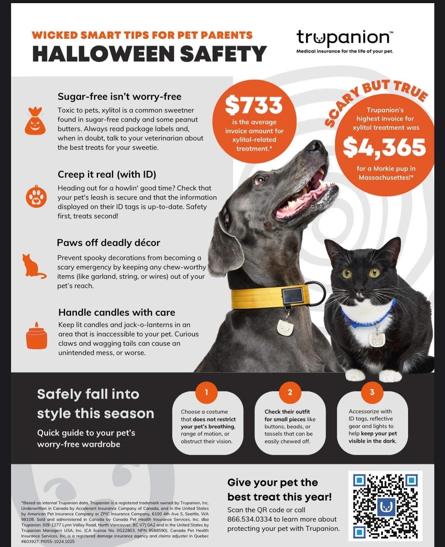 Halloween is tomorrow, let&rsquo;s keep the fur-babes safe! 🎃