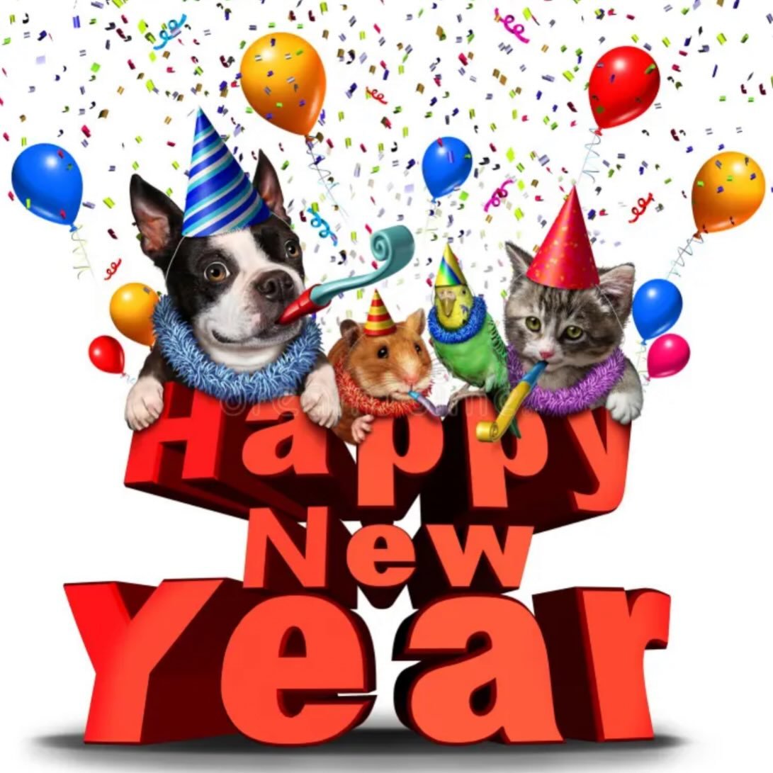 Happy New Year from your CCVH Team!! 🎉🎊