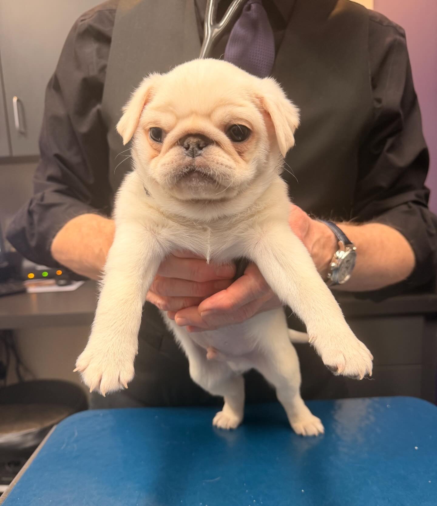 Woodstock had his first visit with us yesterday! Look at him!!!