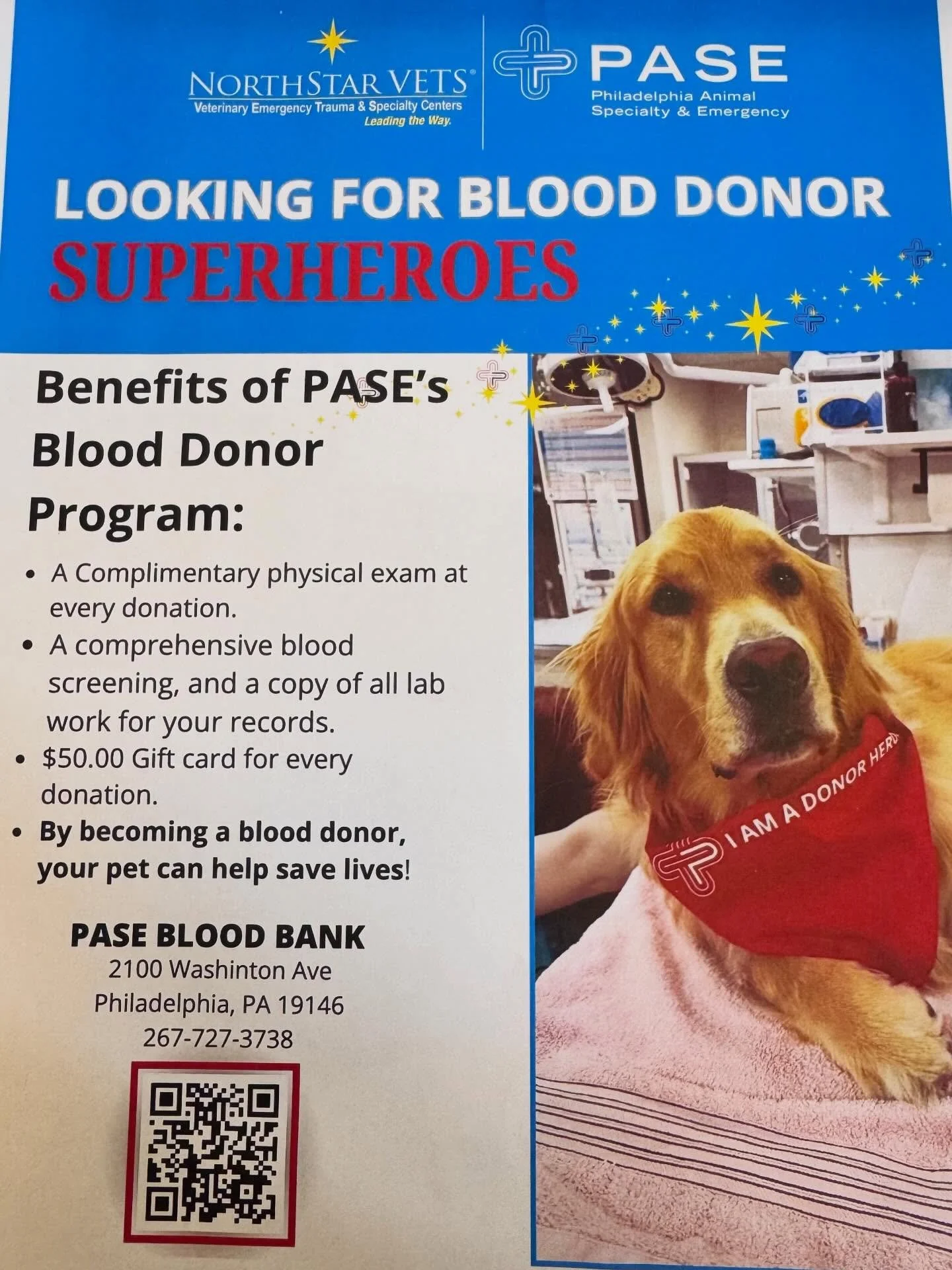 Your cat or dog can help other babes by being a blood donor!