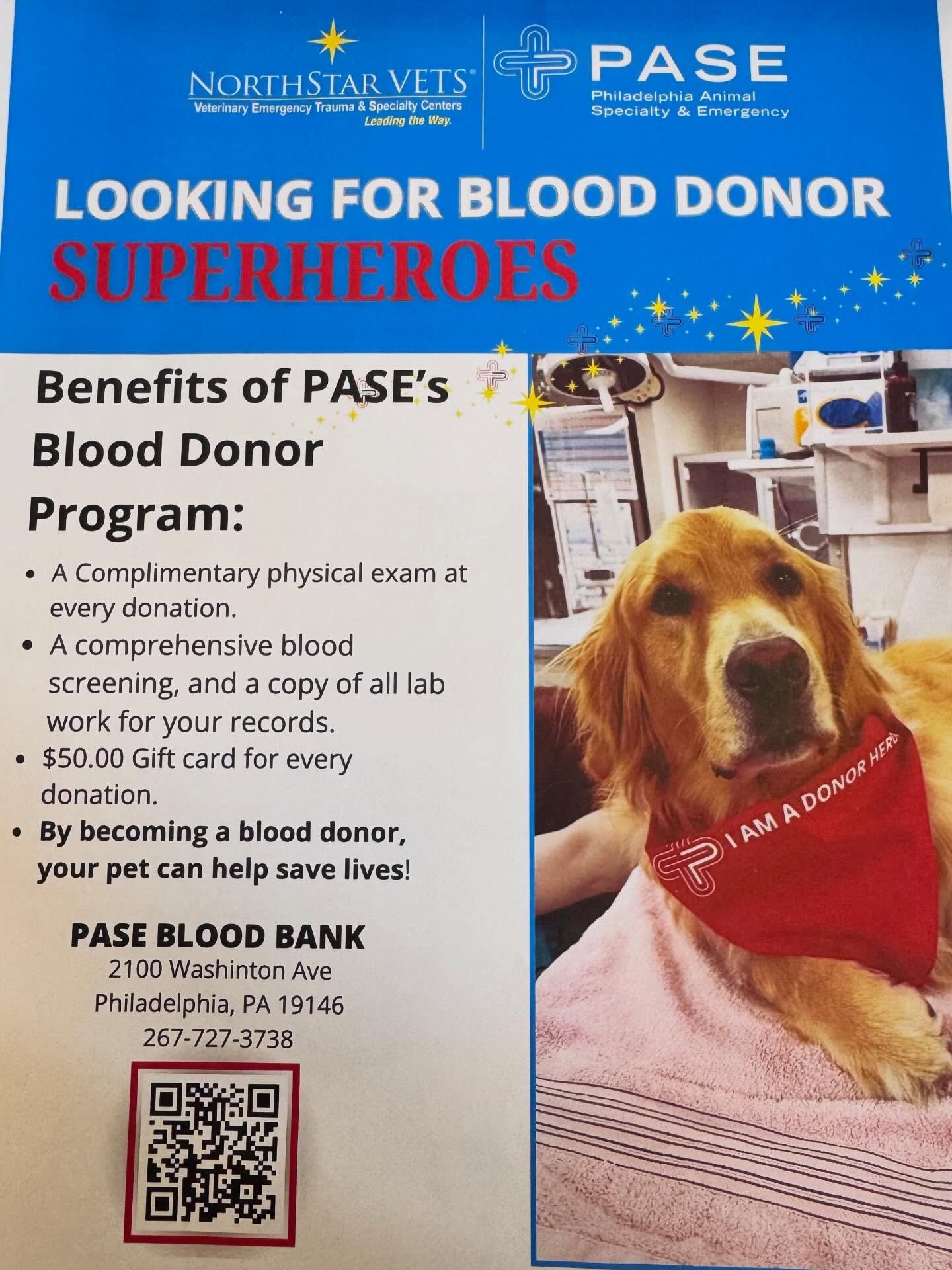 Your cat or dog can help other babes by being a blood donor!