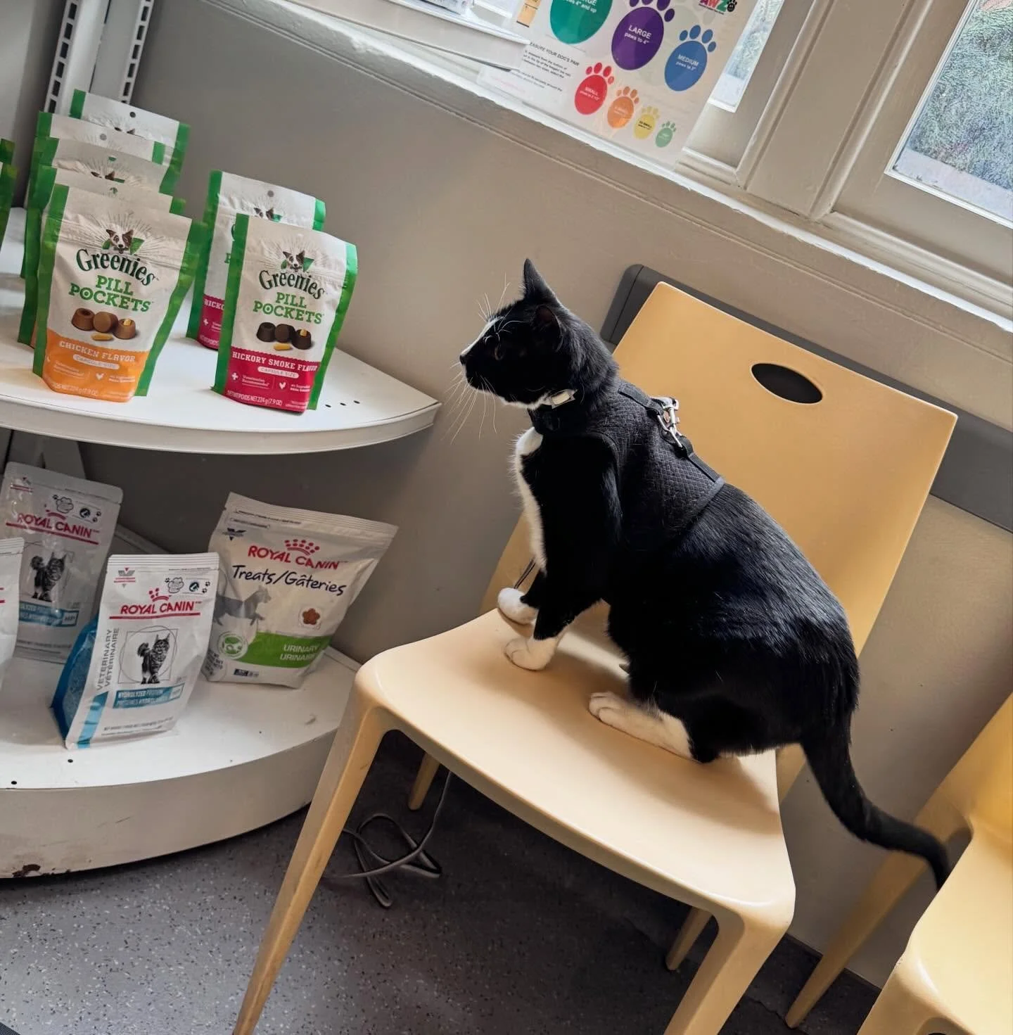 Keeper had a great first visit. He walked here all the way from his house!