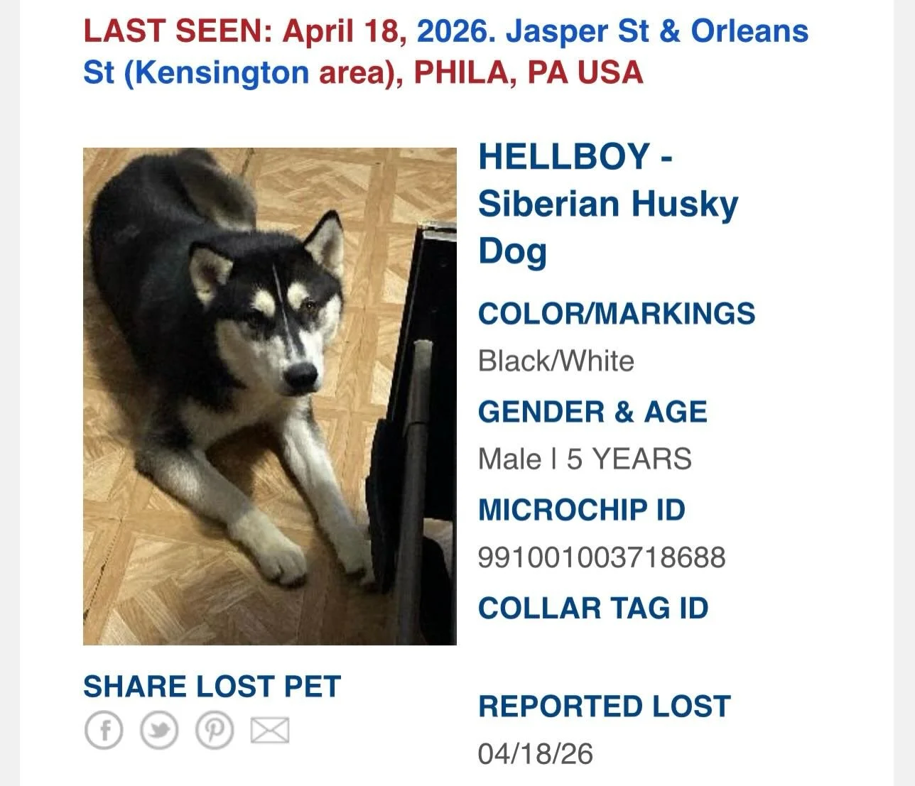 ✨Courtesy post ✨