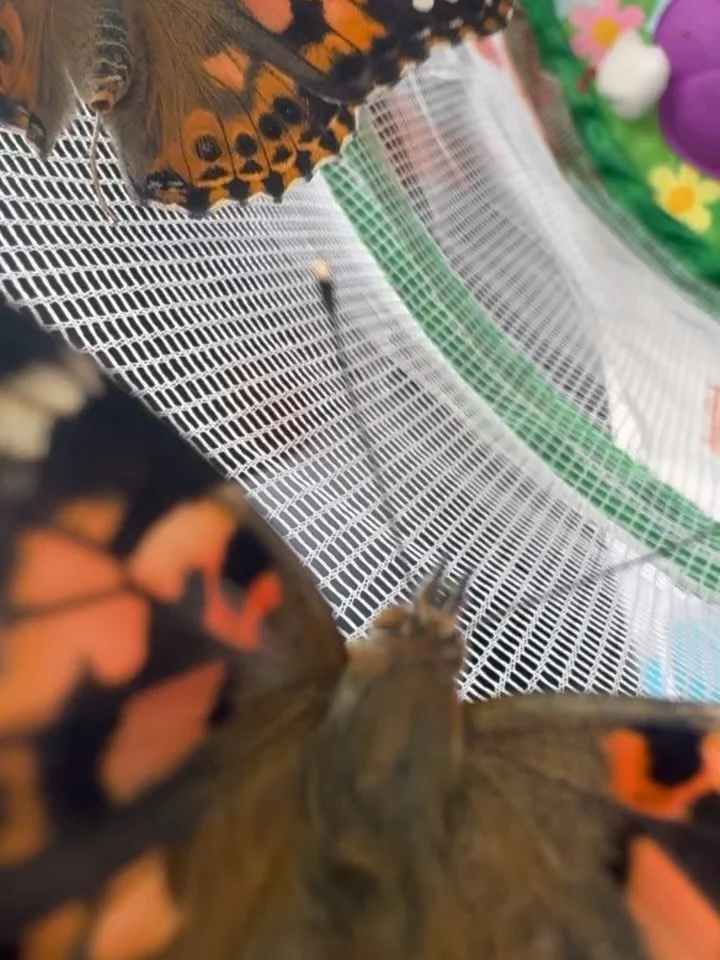 Up close &amp; personal