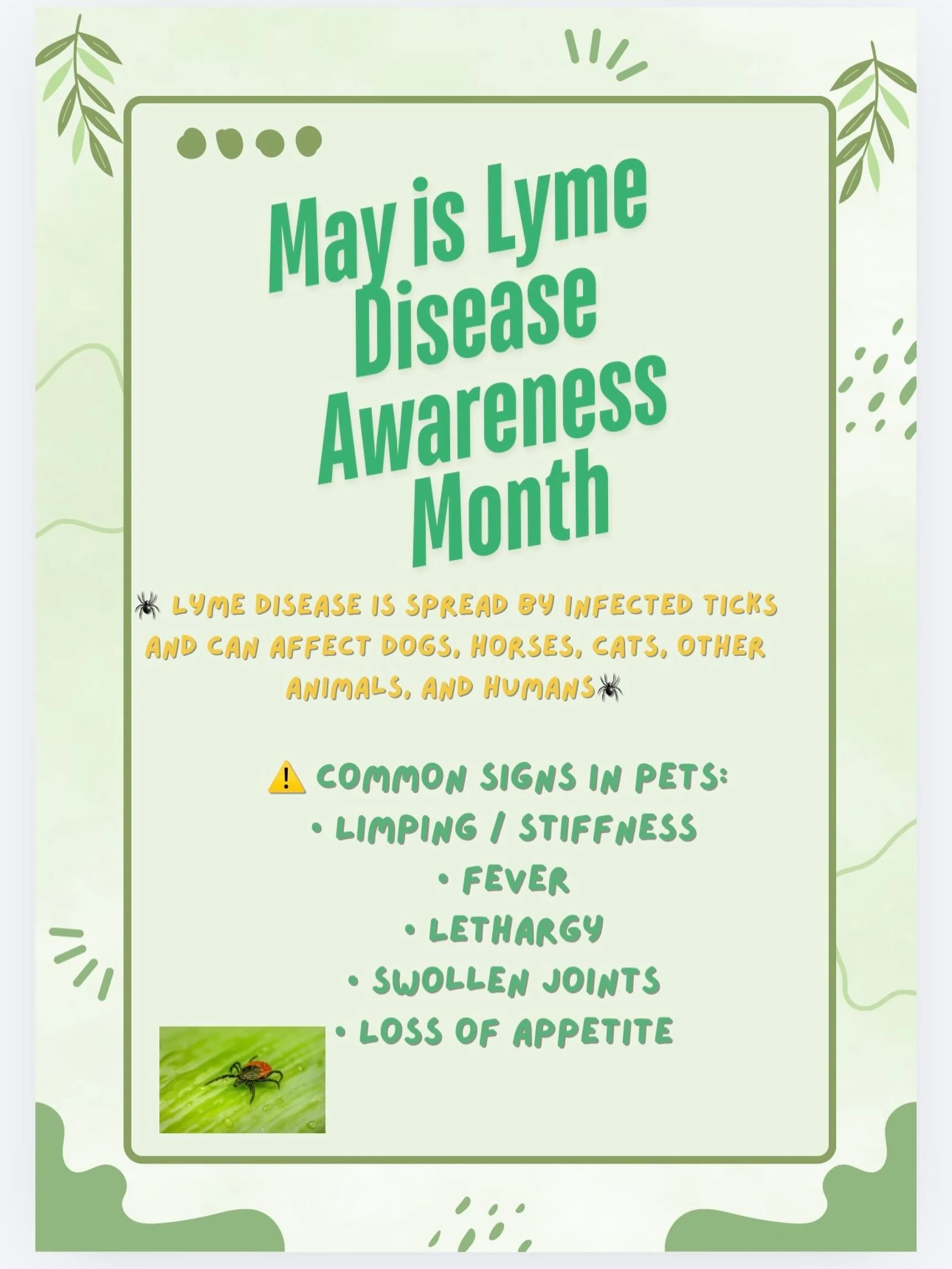✅ Protect Your Pets:
&bull; Use tick prevention year-round
&bull; Check for ticks after walks or hikes
&bull; Keep grass trimmed
&bull; Talk to your vet about Lyme vaccines for dogs
