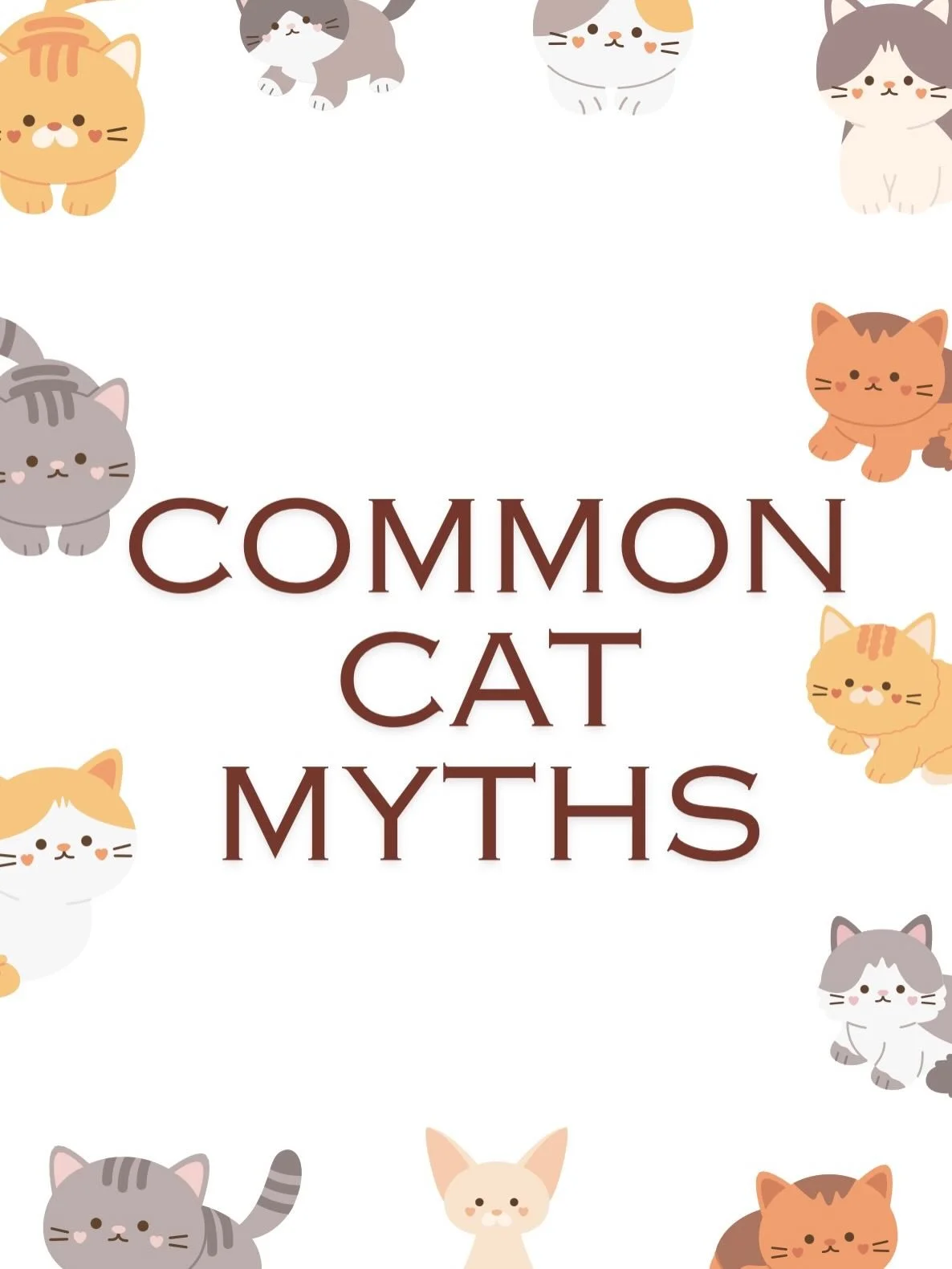 Unraveling the myths, one purr at a time 🐱 #vetmed #catfact #animalcare