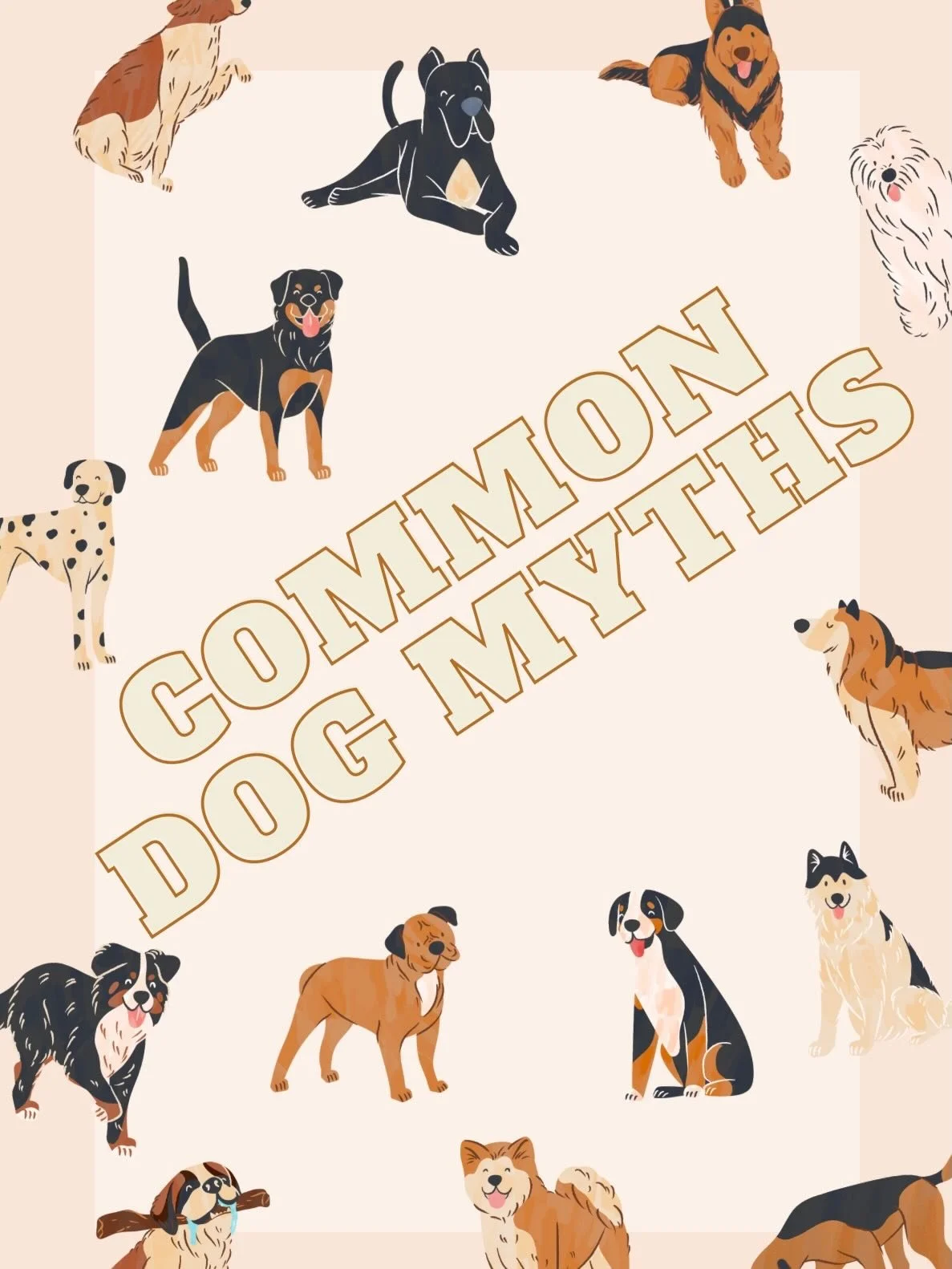 How many of these dog myths have you heard before? #dogfacts #vetmed #animalcare