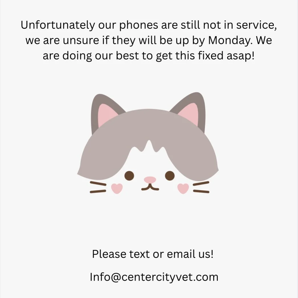 For any emergencies please contact VEG at 267-351-8440