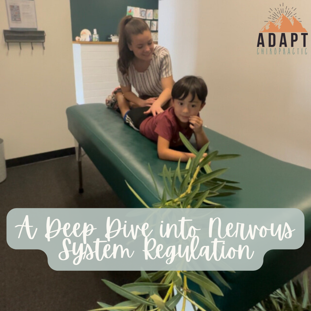 A Deep Dive into Nervous System Regulation