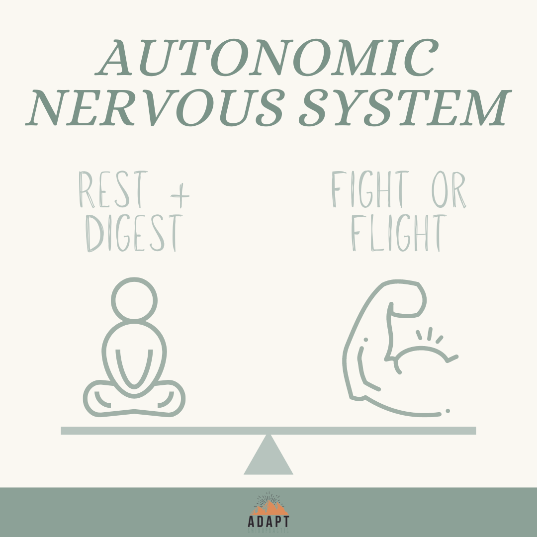 Harnessing the Power of the Vagus Nerve for Kids 