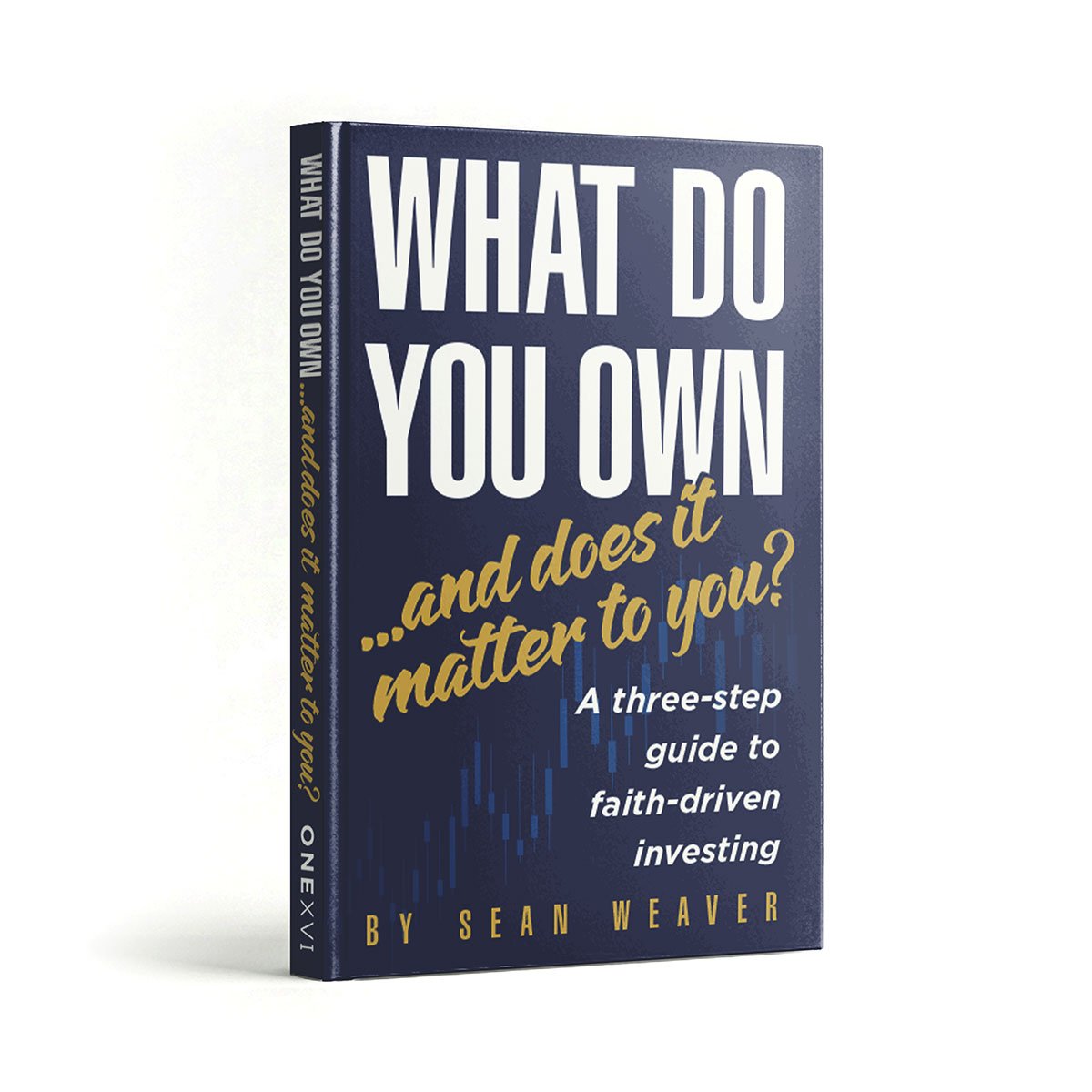 What Do You Own ...and does it matter to you? A three-step guide to faith-driven investing, by Sean Weaver