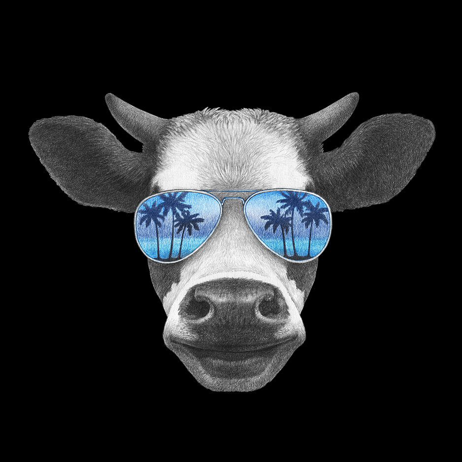 Baja_Cow_Blue_2.jpg