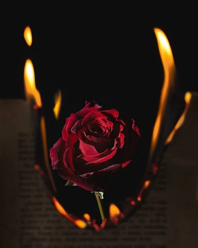 🔻Burned Memories
◾Nebojte sa nepodpálil som kvôli tomu žiadnu knihu keďže som dávnejšie v bazáre objavil kopu takýchto strán bez väzby alebo obalu a vedel som že sa mi to hodí na moju tvorb