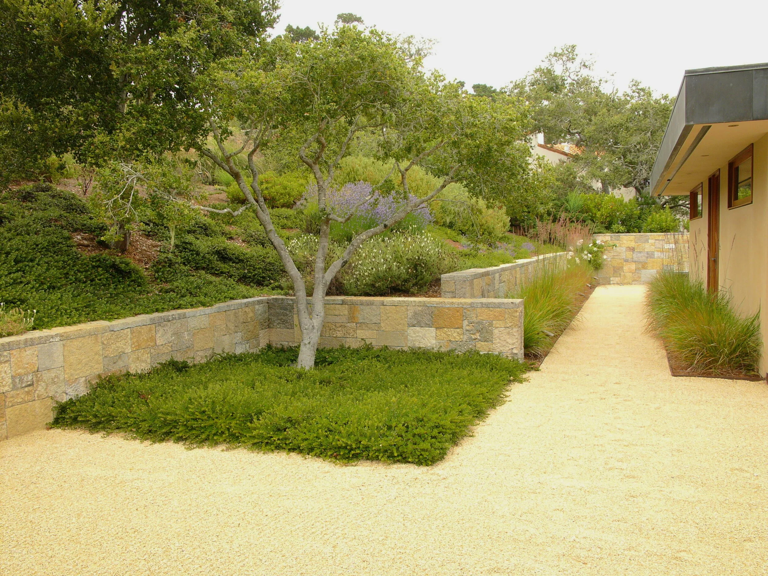 L1000743.JPG