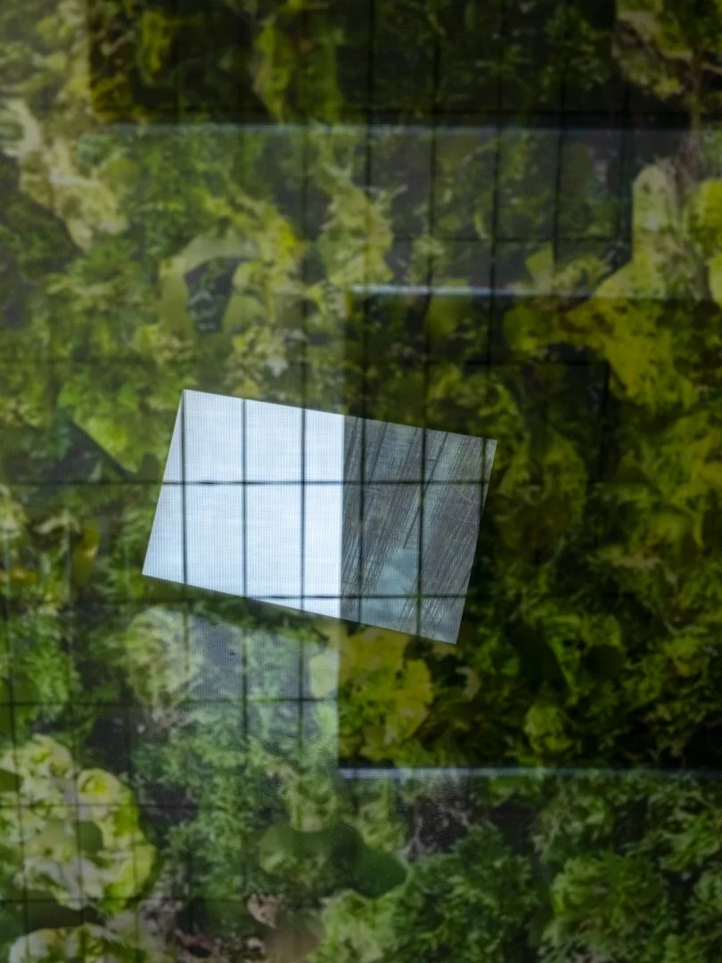 2024_Peripheral Loading (4).jpg