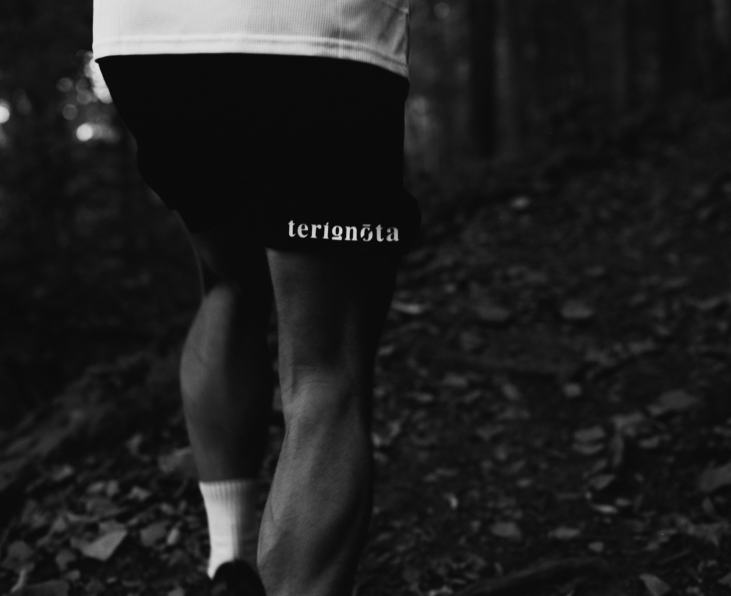 TERIGNOTA-10.jpg