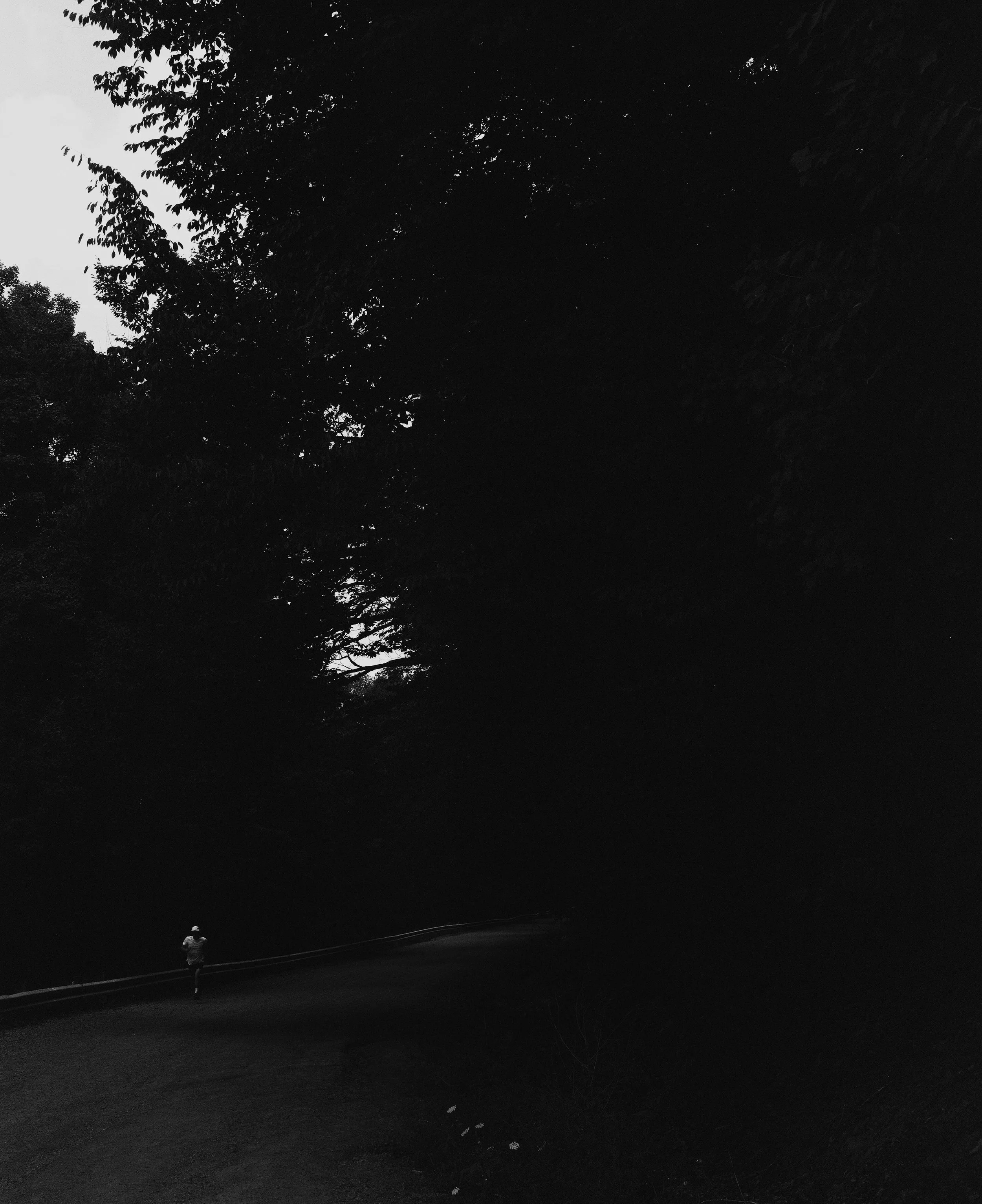 TERIGNOTA-06.jpg