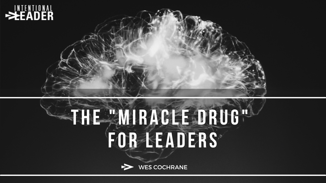 Dom F. - Conscious Leadership + Performance Mentor - Dose of Dom Coaching +  Mentorship