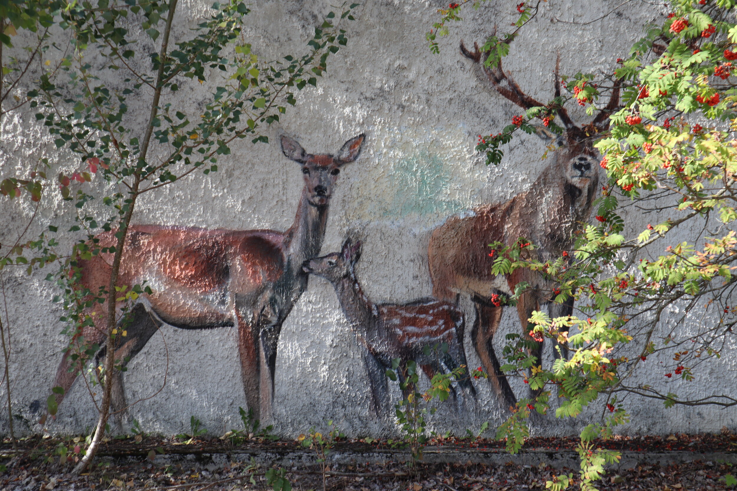 在普里皮亚季游乐园附近发现了一幅壁画，据信是1986年之后绘制的。