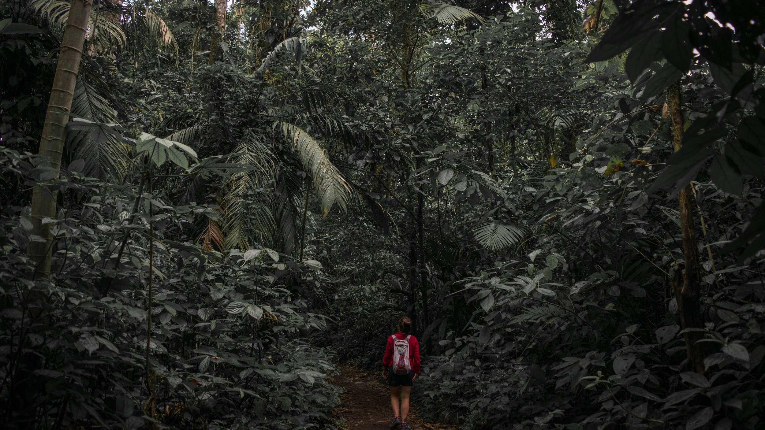 哥斯达黎加阿拉胡埃拉省的阿雷纳尔火山国家公园。本·特恩布尔摄