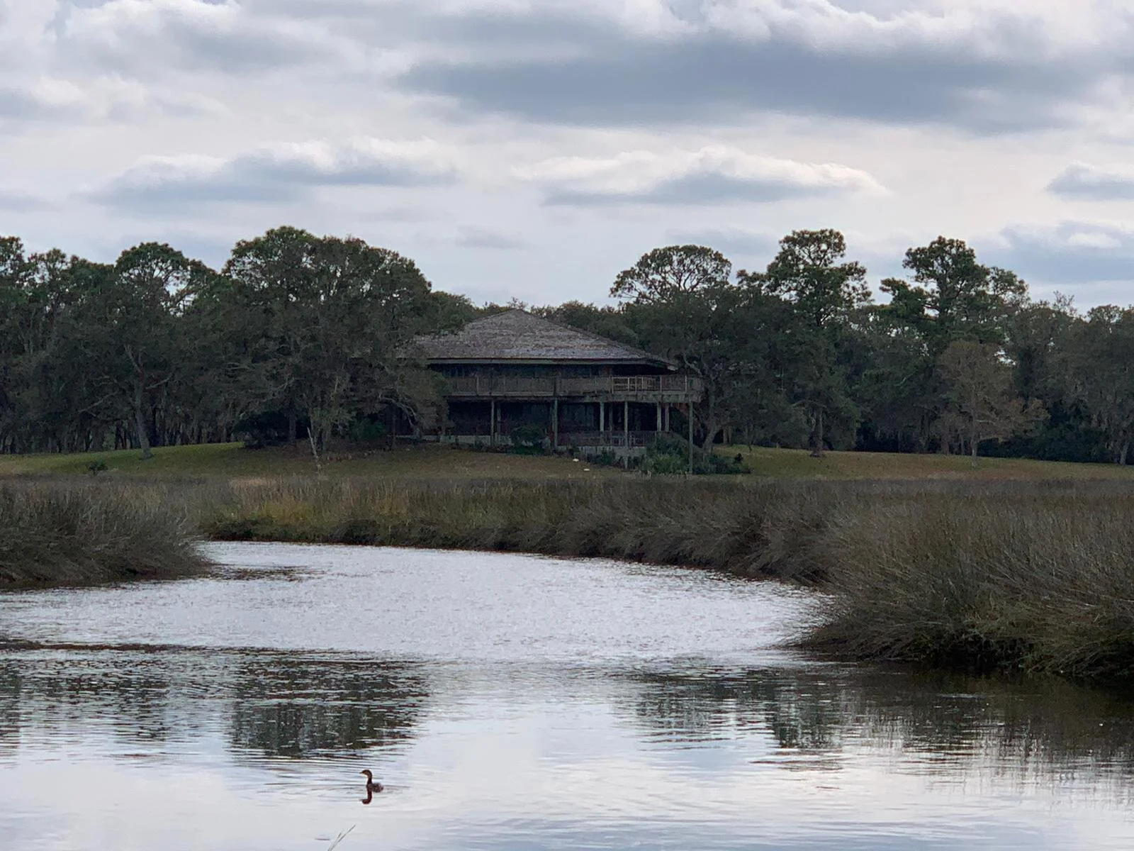 Princess Place Preserve - Guided Walk & Picnic