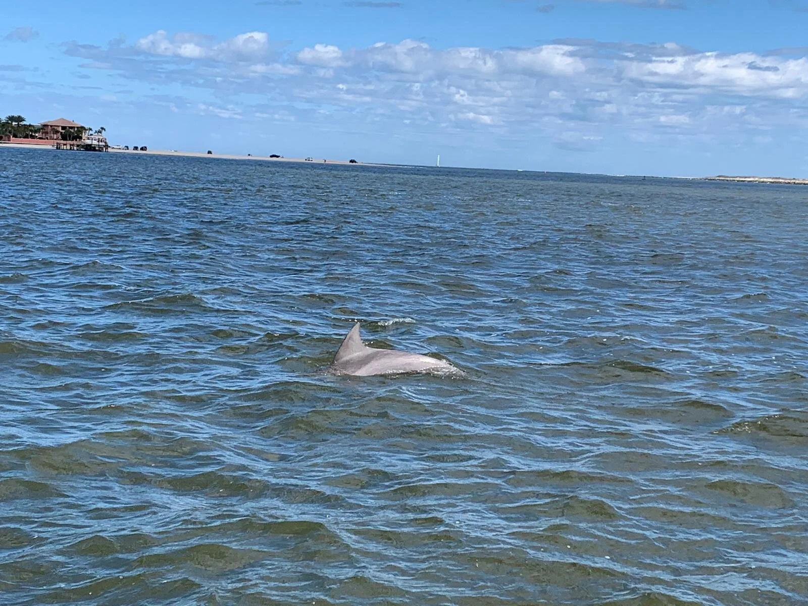 Eco Tour Boat Excursion