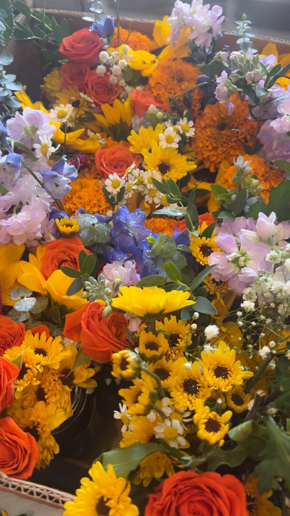 Blue Jean Bash 4.JPG