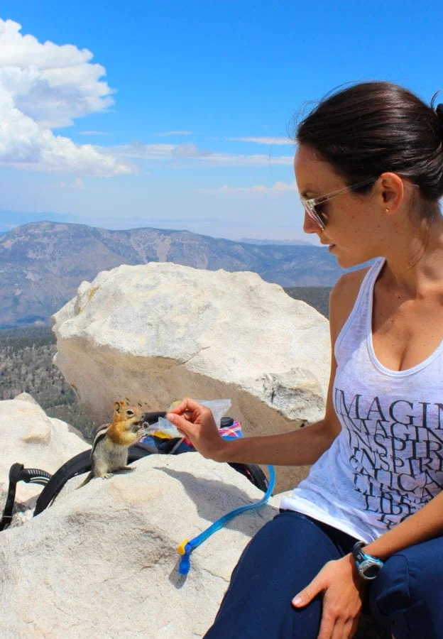 dollar lake, camping san gorgonio, south fork trail, dollar lake saddle, san gorgonio hike, san gorgonio peak