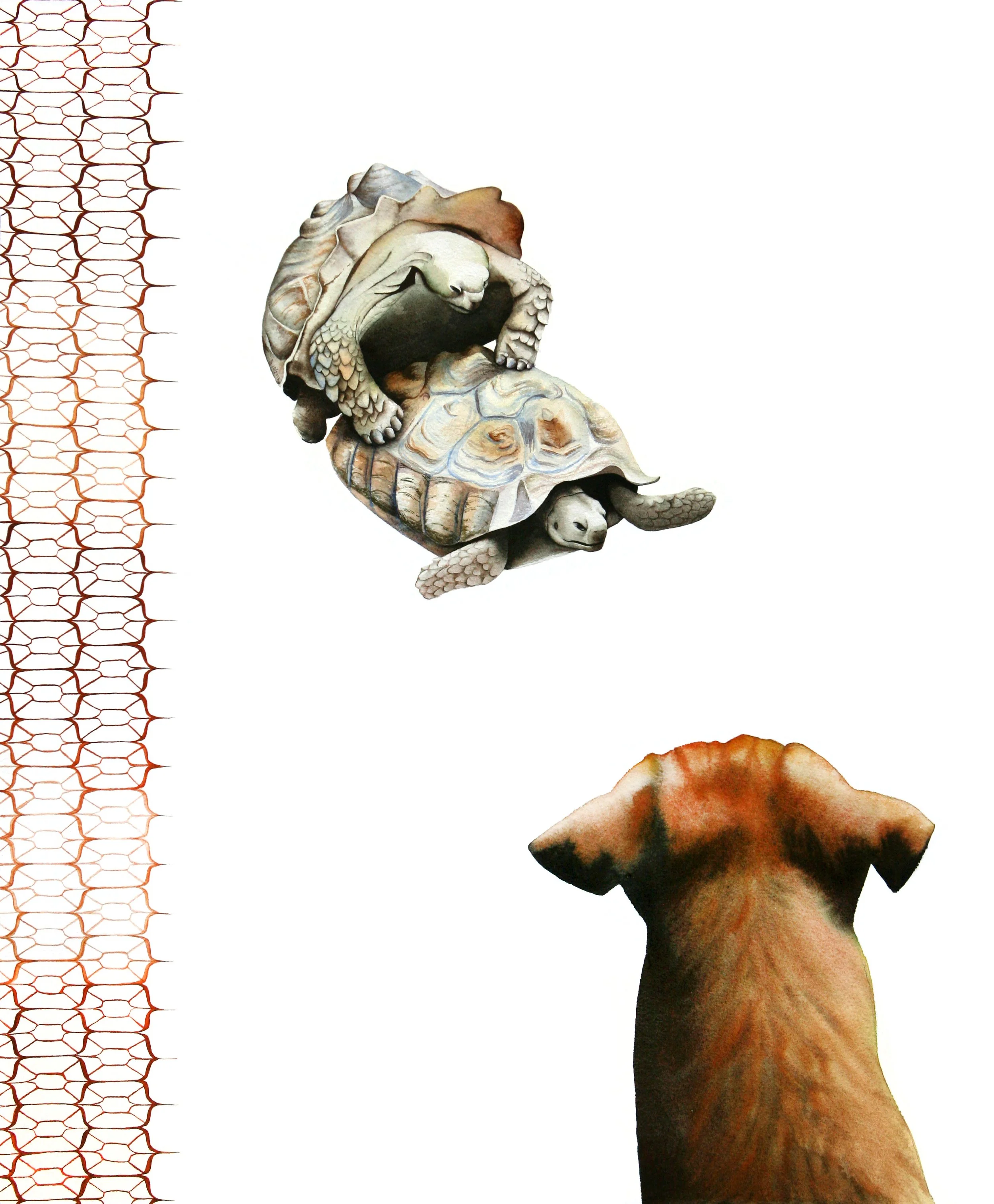 Interspecies Voyeurism