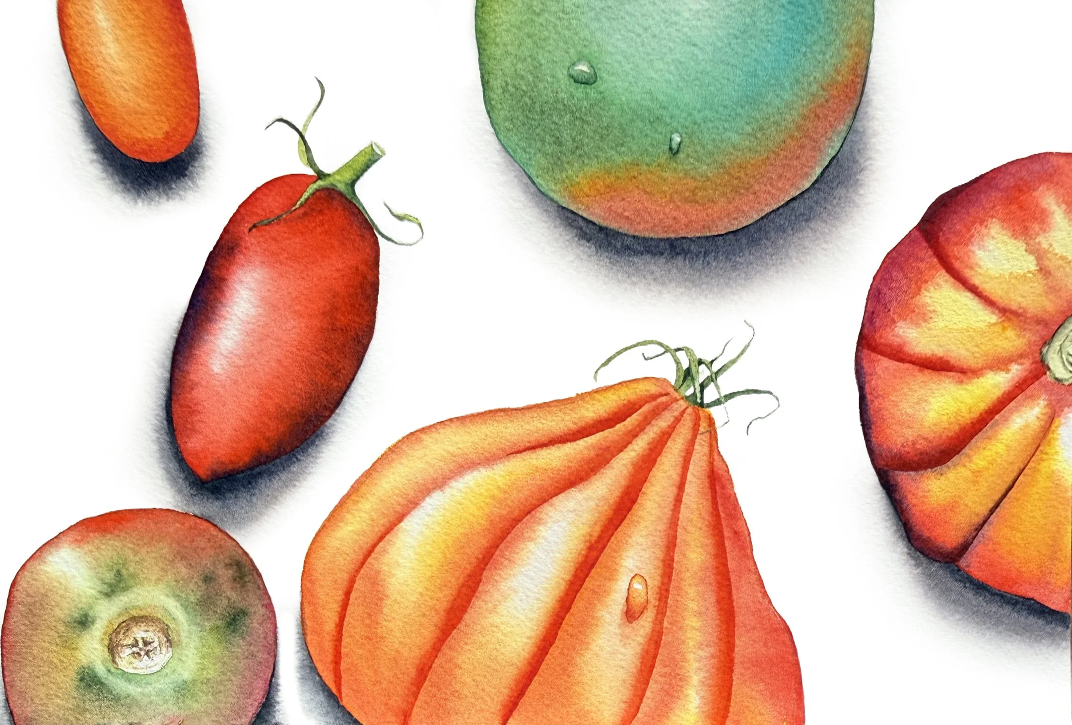 Heirloom Tomatoes