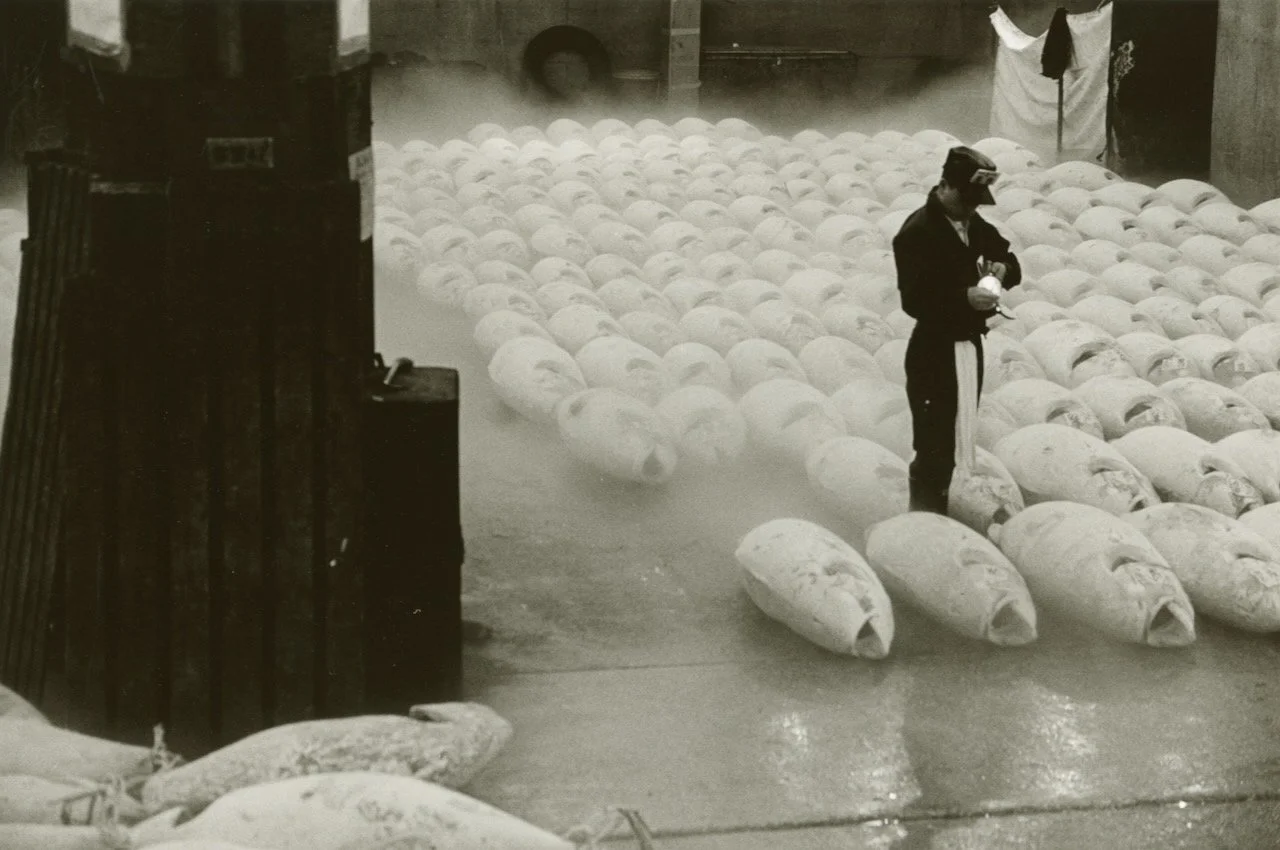 Tsukiji 7.jpeg