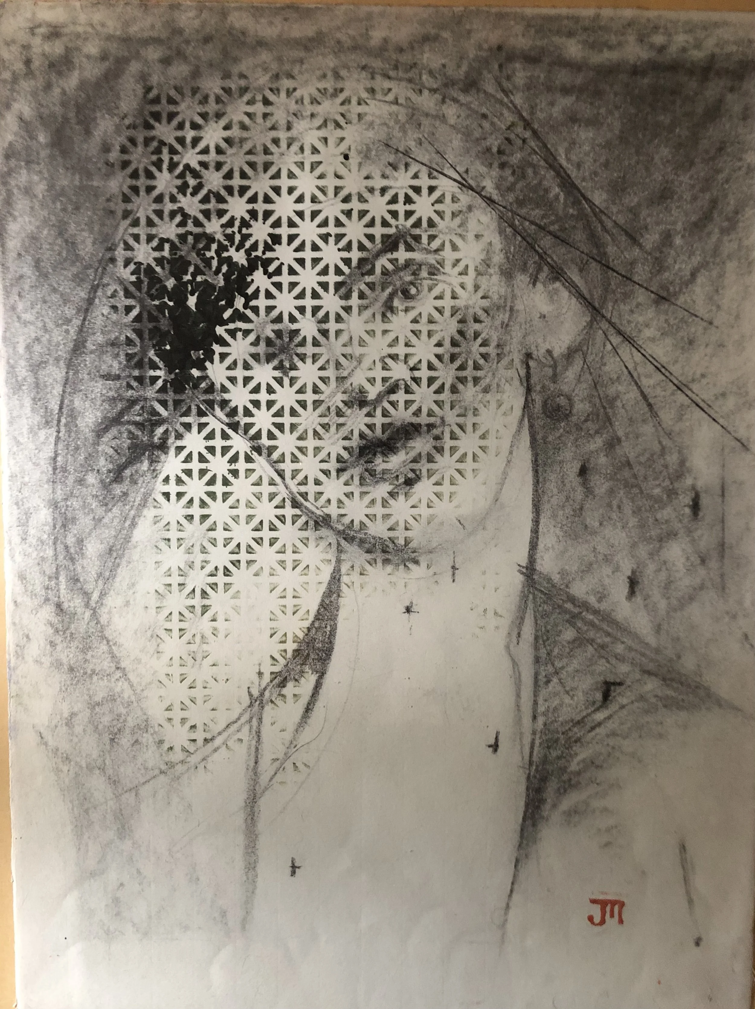 Veiled Series Charcoal and Paint:Paper.jpeg