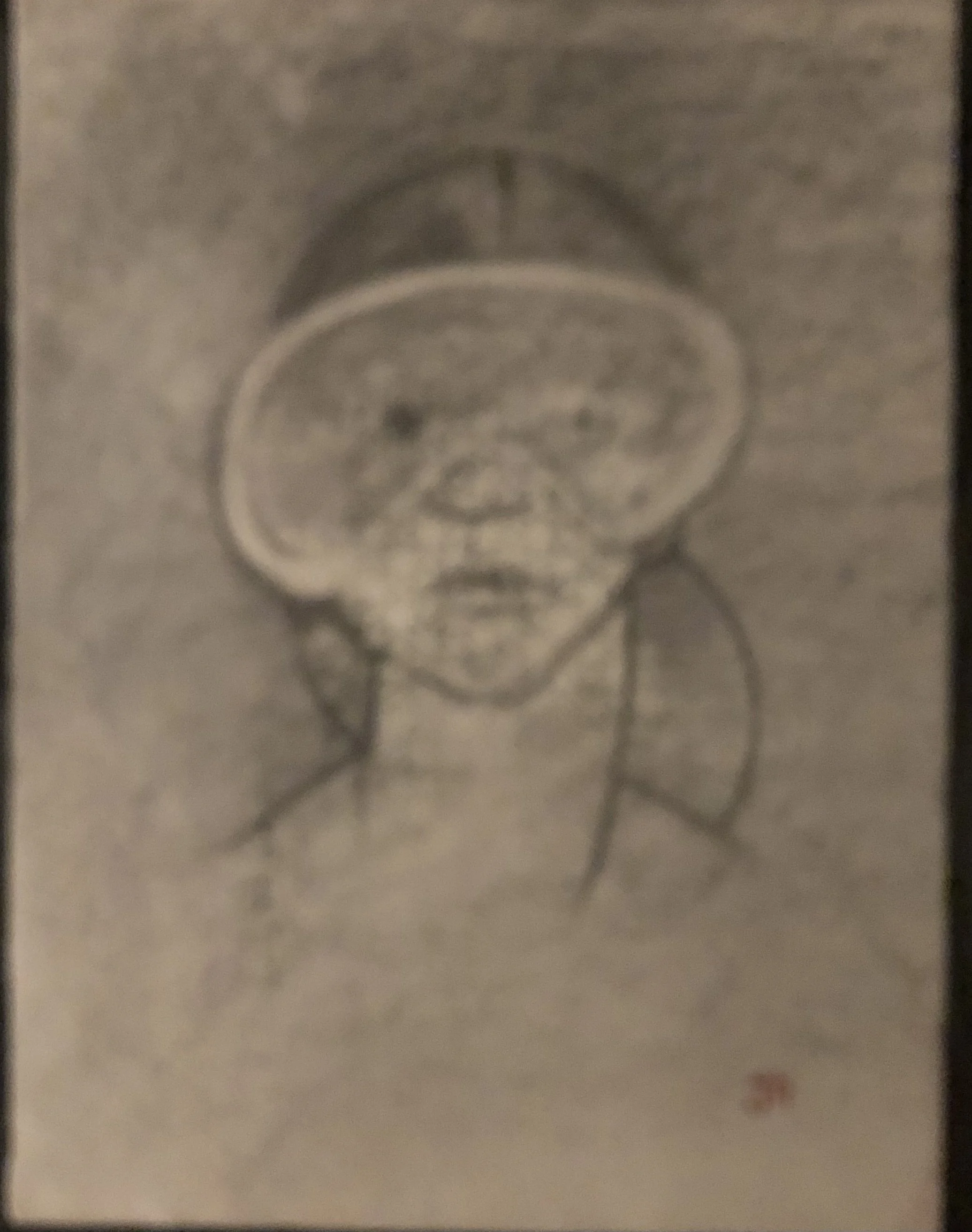 Migraine Mask Paper 28x22.jpeg