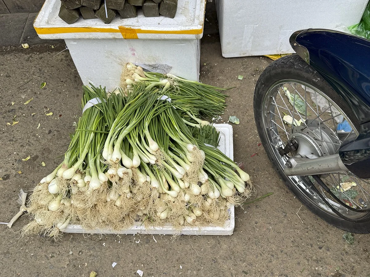 ScallionScooter.jpg