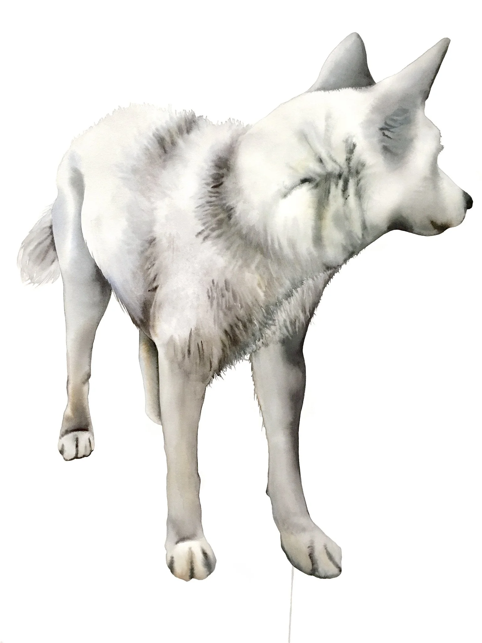  White Wolf 4