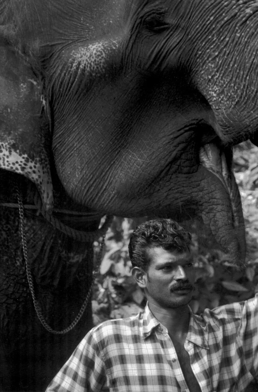 Indian Man & Elephant.jpeg